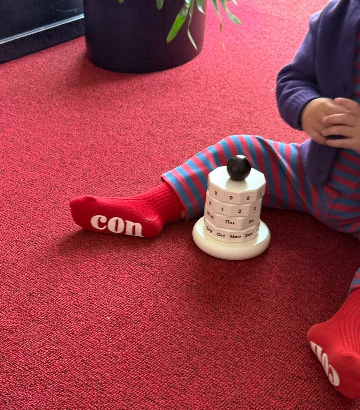 Colour Ribbed Socks